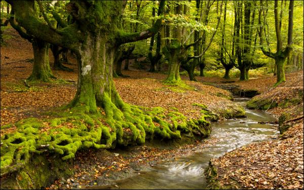 Parques Naturales en Guipúzcoa