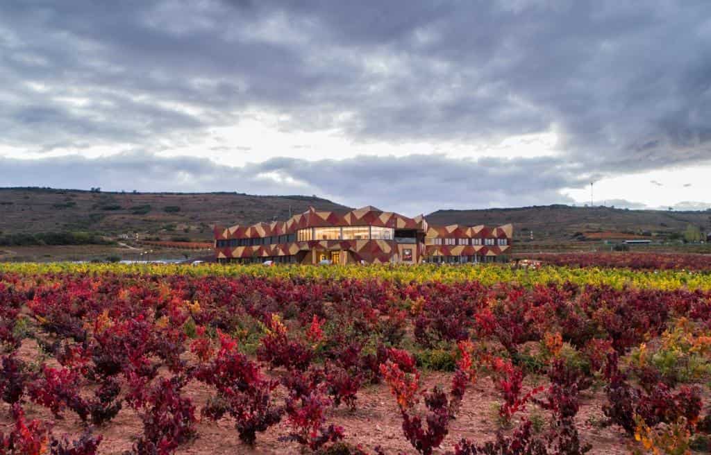 Hotel Bodega FyA - Grupo Piérola