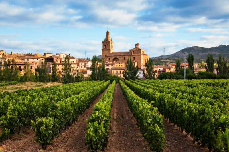 ¿Has probado hacer enoturismo?