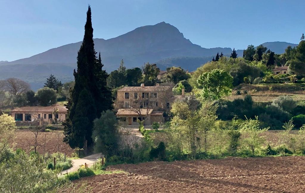 Finca Hotel Son Pont