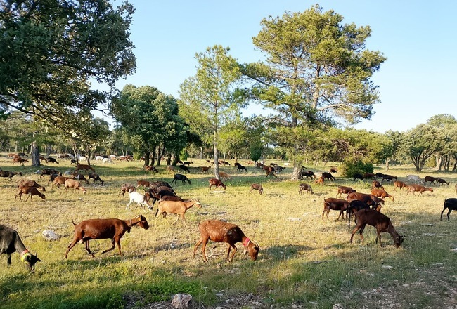 Masía La Parreta 02