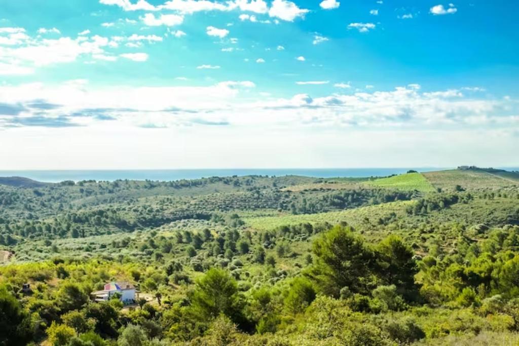 WILDSPIRIT Eco Cultural Farm