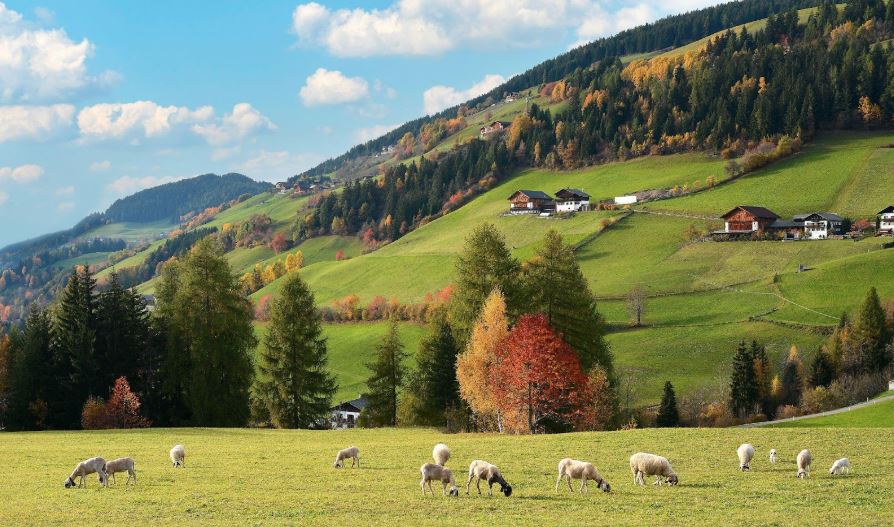 5 agroturismos destacados en Europa