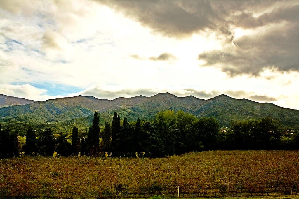 Por qué elegir el Alt Empordà para el turismo rural sostenible.