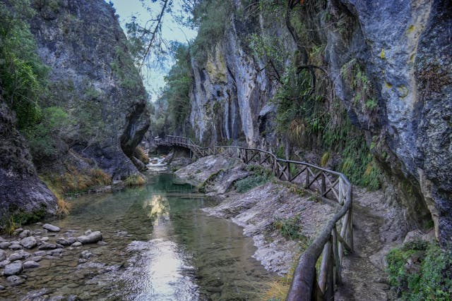 Por qué la combinación rural-urbano gana adeptos.