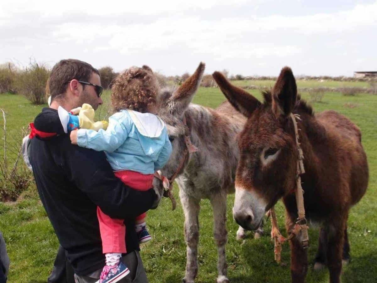 Agroturismo El Mirador de la Cigüeña