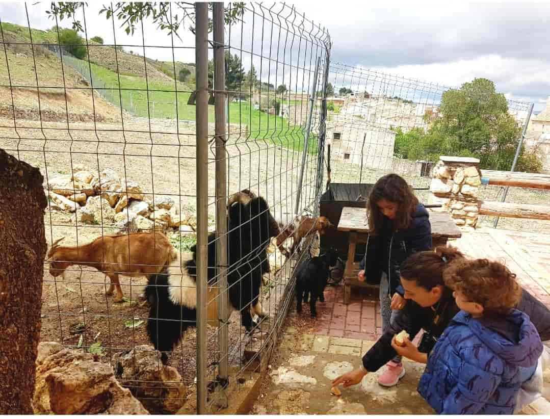 Apartamento turístico 'El Granjuelo'