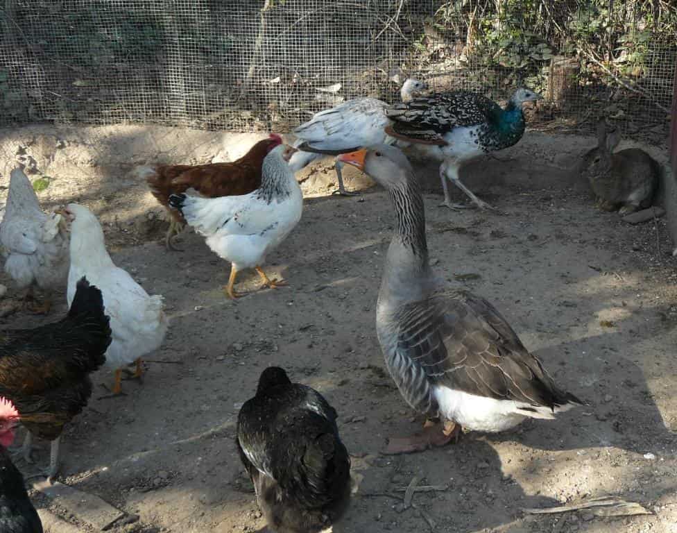 Casa Rural Torre De Campos