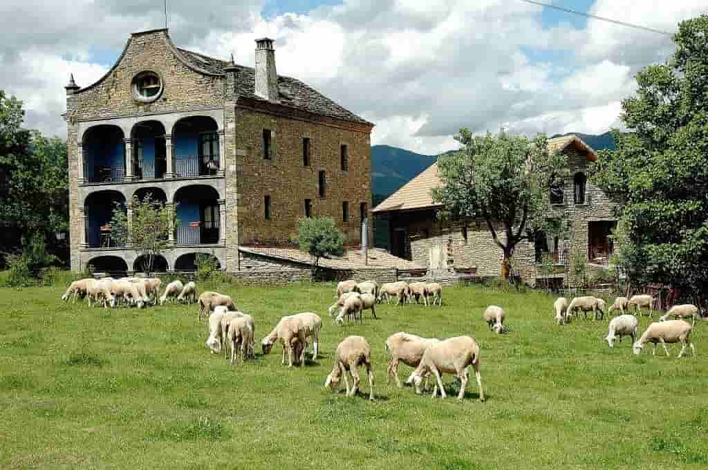 Una escapada rural con niños que no olvidarás