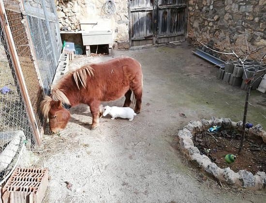 El Castillo de Celia