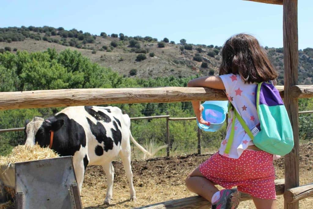 Casa El Tío Carrascón alojamiento rural