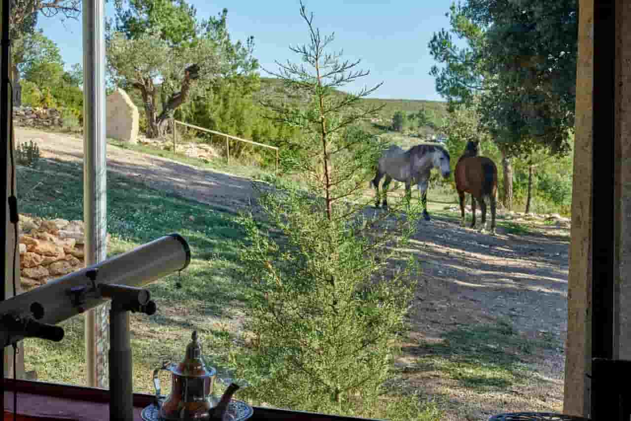 Finca Heredad La Boquilla