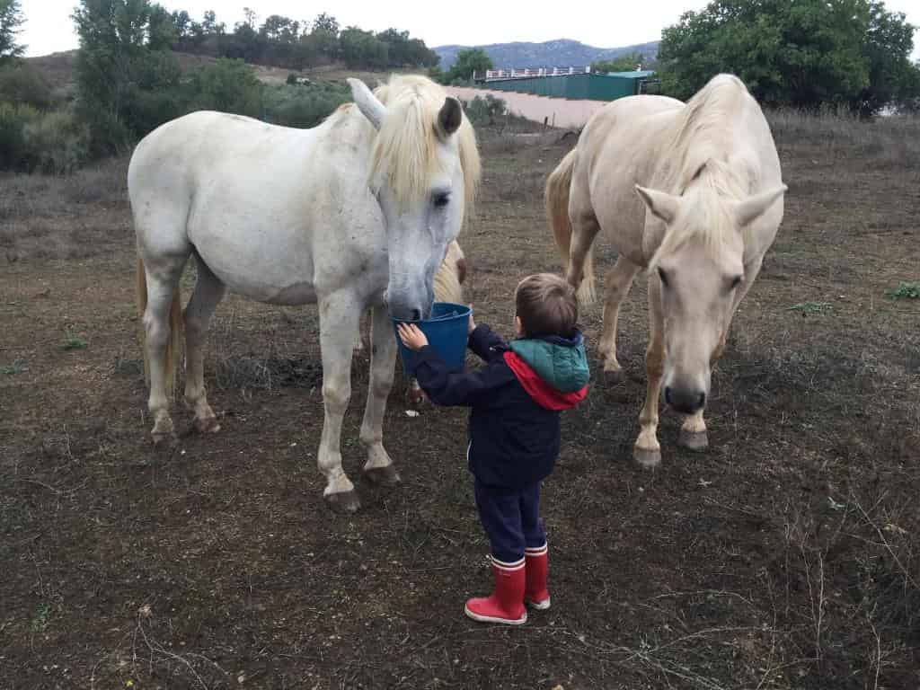 Hotel Rural Finca La Herencia