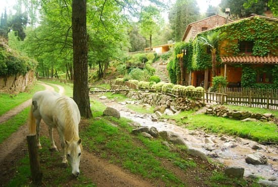 Masía El Moli de Can Aulet