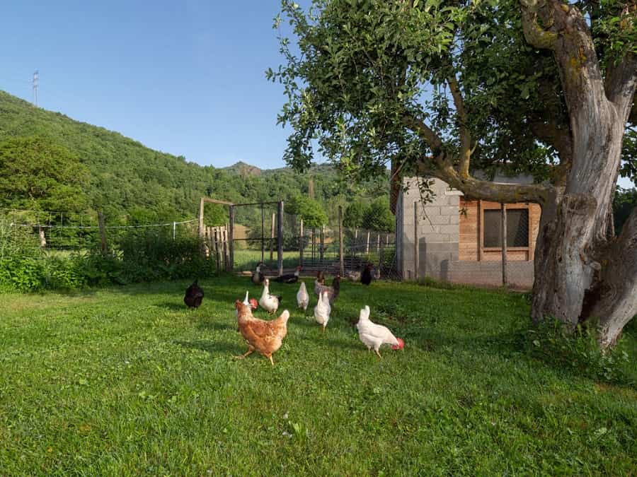 Una escapada rural para desconectar