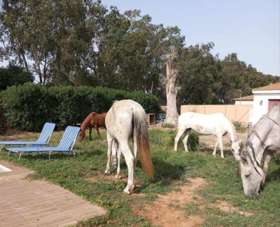 Apartamento Granja Girasol