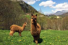 Una escapada rural para desconectar