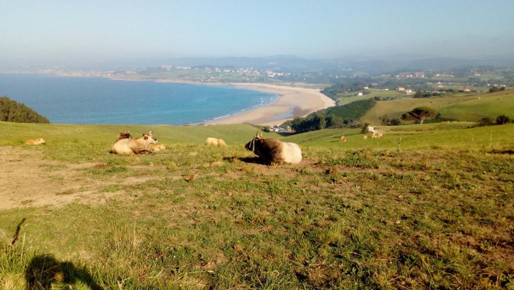 La casa de Consuelo 3