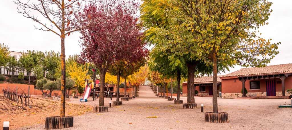 Bodega Andrés Iniesta con visita y cata