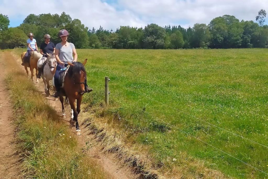 Granja Labrada: Alojamiento con caballos