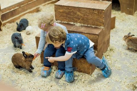 Granjas para visitar con niños en Galicia.