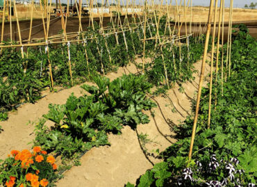 Agroturismos con huertos ecológicos y animales de granja muy cerca de la capital
