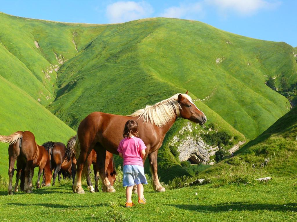 Agroturismo Mari Cruz