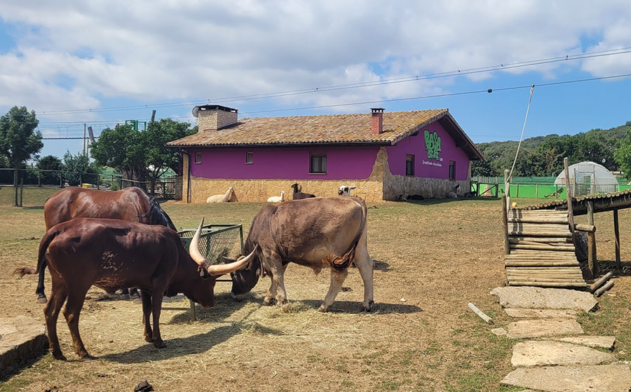 Granja escuela Basabere