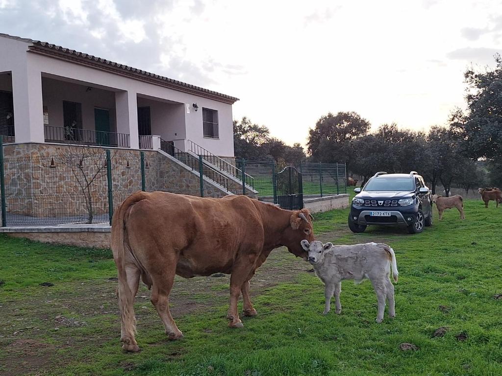 Casa Dehesa La Lancha
