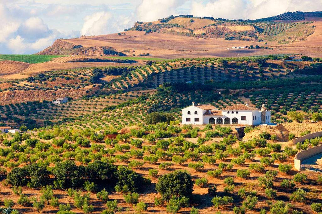 ¿Qué visitar en la Andalucía rural?